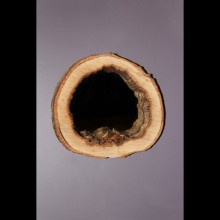 Odun Ayna